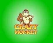 Скриншот - Crazy Monkey Crazy Monkey